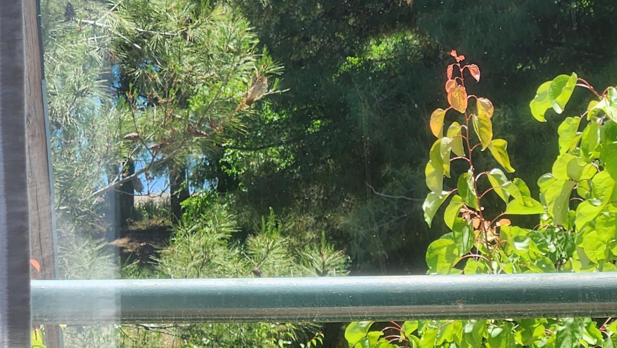 Pine Beach Holiday Home 2 Bedrooms 50 Meters To The Beach Kalyves Polygyrou Esterno foto